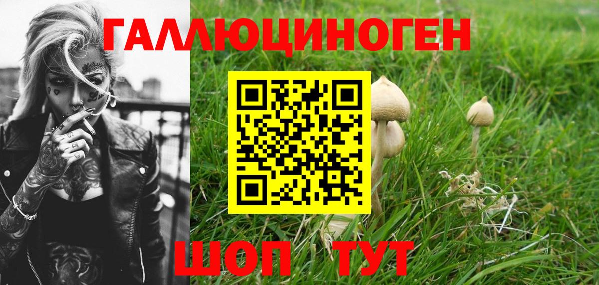 Галлюциногенные грибы Magic Shrooms  Вход с VPN  Саратов  сколько стоит  Псилоцибиновые грибы Psilocybine cubensis 