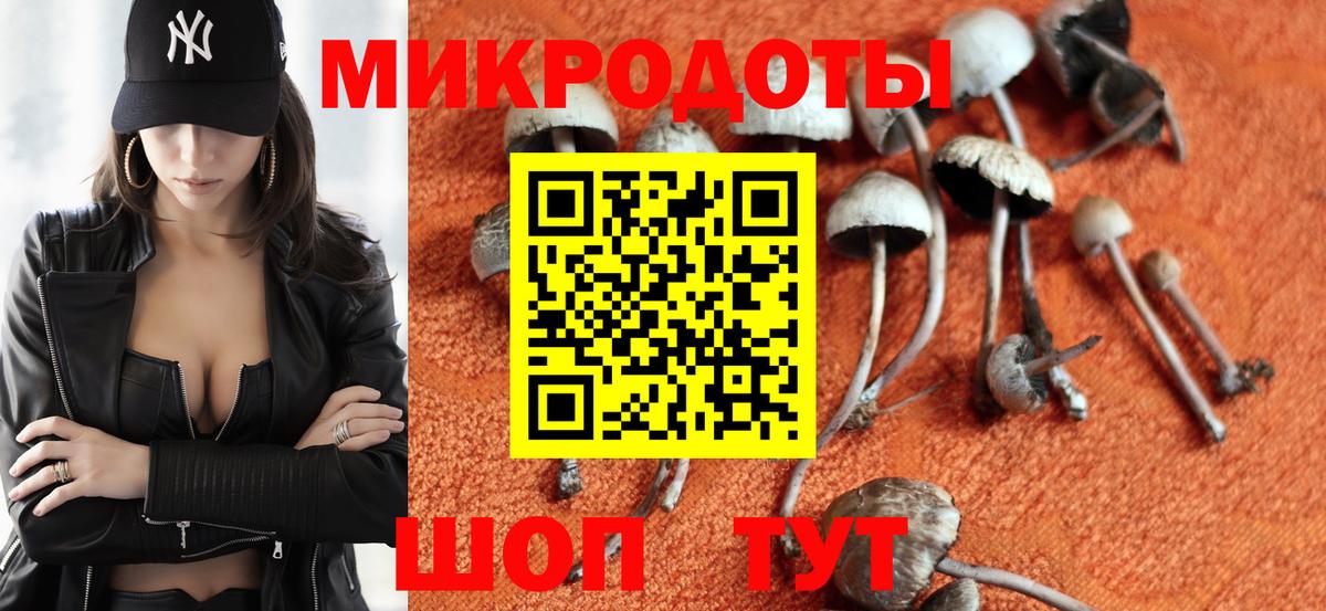 Псилоцибиновые грибы мухоморы Саратов